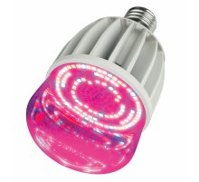 Лампа светодиодная для растений (11098) Uniel E27 20W прозрачная LED-M80-20W/SP/E27/CL ALS55WH