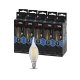 Лампа светодиодная Эра E14 9W 4000K F-LED BXS-9W-840-E14 Б0047005