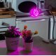 Лампа светодиодная для растений (09645) Uniel E27 9W прозрачная LED-A60-9W/SP/E27/CL ALM01WH