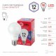 Лампа светодиодная Эра E27 12W 6500K LED A60-12W-865-E27 R Б0045325
