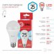 Лампа светодиодная Эра E27 25W 4000K LED A65-25W-840-E27 R Б0048010