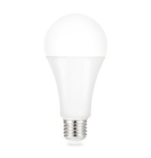 Лампа светодиодная Gauss E27 22W 6500K груша матовая 102502322