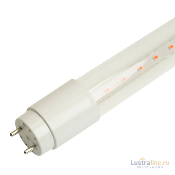 Лампа светодиодная для растений Feron LB-7063 G13 11W красно-синий 51662