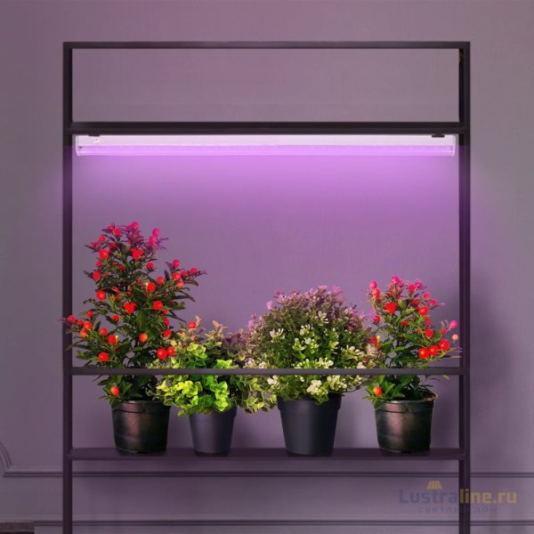Фитолампа для растений светодиодная ЭРА G13 9W 1200K FITO-9W-RB-Т8-G13-NL Б0042986