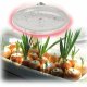 Фитолампа для растений светодиодная ЭРА E27 18W 2370K FITO-18W-RB-E27 Б0049533