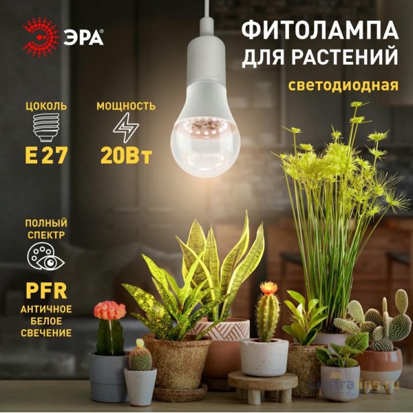Фитолампа для растений Эра ФИТО A65-20W-PFR-E27-GR Б0068577