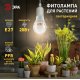 Фитолампа для растений Эра ФИТО A65-20W-PFR-E27-GR Б0068577