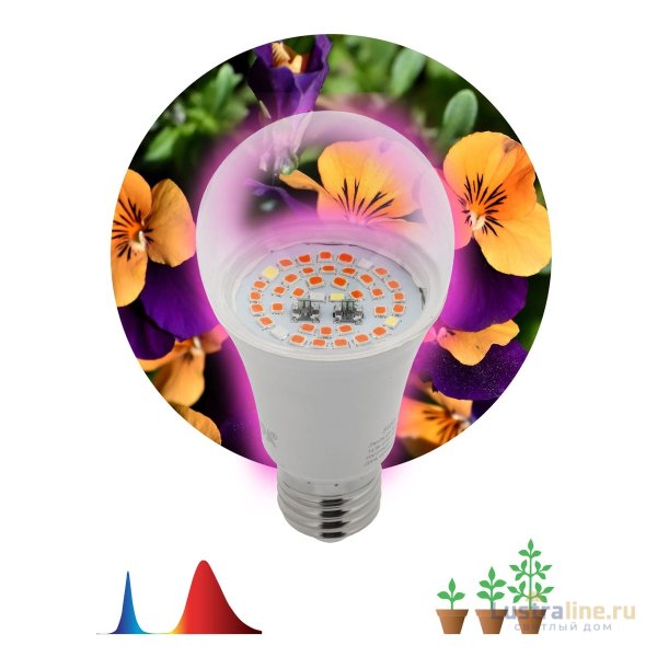 Фитолампа для растений светодиодная ЭРА E27 12W 1310K FITO-12W-RB-E27-K Б0039070 Фитолампа для растений светодиодная ЭРА E27 12W 1310K FITO-12W-RB-E27-K Б0039070
