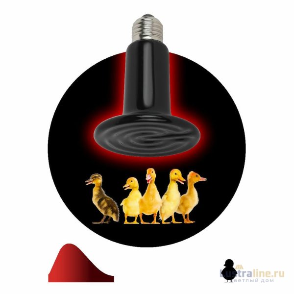 Инфракрасная лампа Эра FITO-200W-НQ Б0059885 Инфракрасная лампа Эра FITO-200W-НQ Б0059885