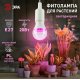 Фитолампа для растений Эра ФИТО A65-20W-PL-E27-GR Б0068597