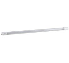 Фитолампа для растений светодиодная ЭРА G13 9W 1200K FITO-9W-RB-Т8-G13-NL Б0042986