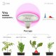 Фитолампа для растений светодиодная ЭРА E27 18W 2370K FITO-18W-RB-E27 Б0049533