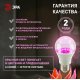 Фитолампа для растений Эра ФИТО A65-20W-PL-E27-GR Б0068597