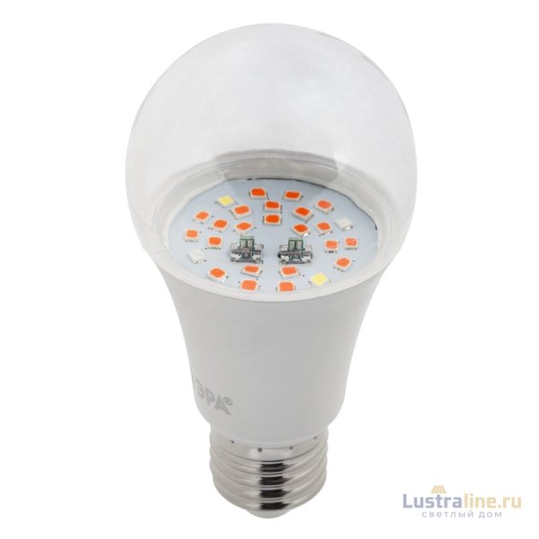 Фитолампа для растений светодиодная ЭРА E27 10W 1310K FITO-10W-RB-E27 Б0050600 Фитолампа для растений светодиодная ЭРА E27 10W 1310K FITO-10W-RB-E27 Б0050600