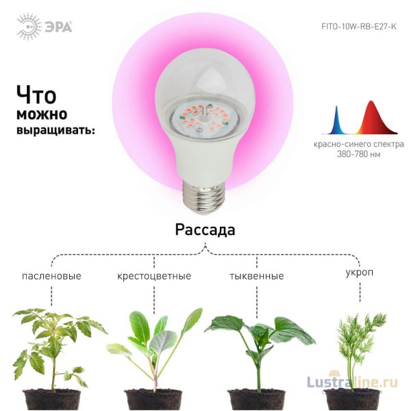 Фитолампа для растений светодиодная ЭРА E27 10W 1310K FITO-10W-RB-E27-K Б0039069 Фитолампа для растений светодиодная ЭРА E27 10W 1310K FITO-10W-RB-E27-K Б0039069