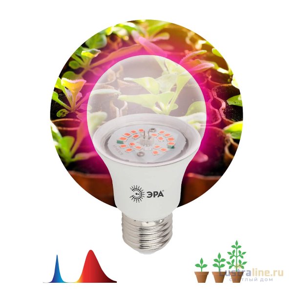 Фитолампа для растений светодиодная ЭРА E27 12W 1310K FITO-12W-RB-E27-K Б0039070 Фитолампа для растений светодиодная ЭРА E27 12W 1310K FITO-12W-RB-E27-K Б0039070