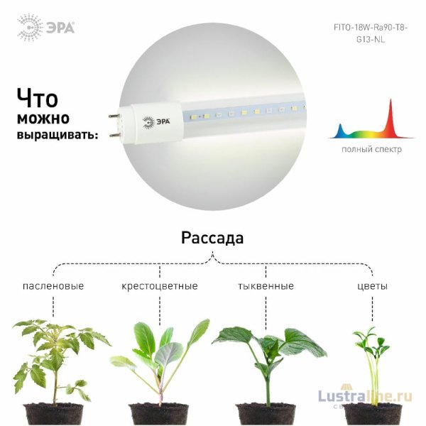 Фитолампа для растений светодиодная Эра G13 18W 1200K FITO-18W-Ra90-Т8-G13-NL Б0042987