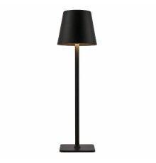 Настольная лампа F-Promo Pyari 4615-1T