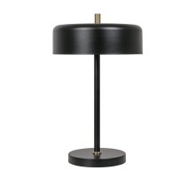 Настольная лампа Arte Lamp Skat A7052LT-2BK