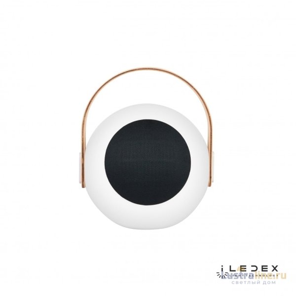 Настольная лампа iLedex Giggle EYS0970-CH WH