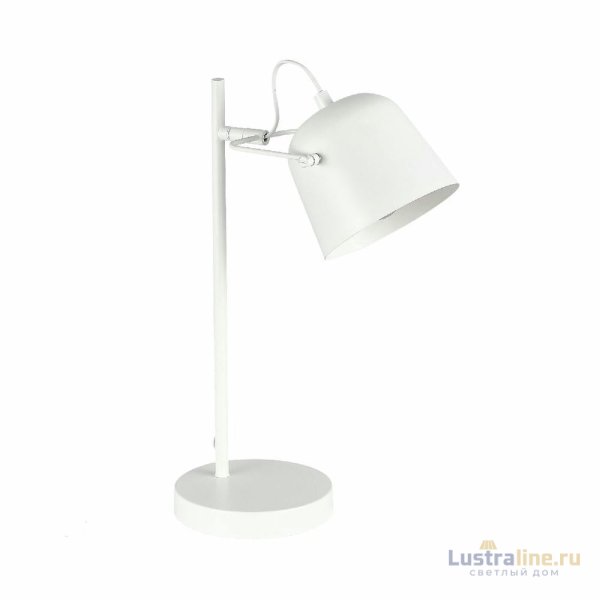 Настольная лампа Evoluce Blank SLE1805-504-01