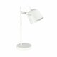Настольная лампа Evoluce Blank SLE1805-504-01