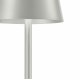 Настольная лампа F-Promo Pyari 4617-1T