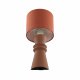 Настольная лампа Lumion Moderni Segi 8131/1T