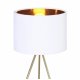 Настольная лампа ST Luce Fuego SL6242.504.01