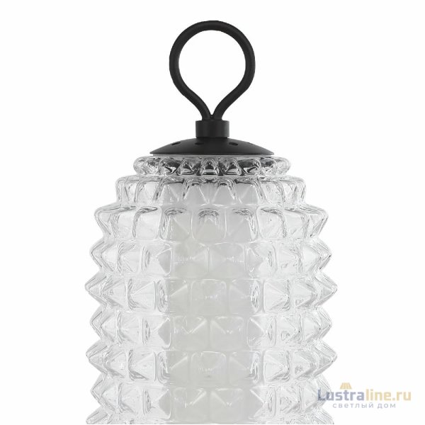 Настольная лампа ST Luce Saguaro SL6144.404.01