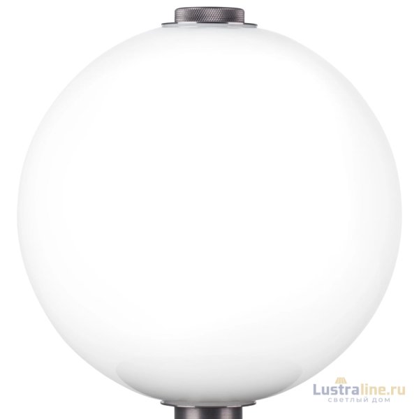 Настольная лампа Lightstar Colore 805906