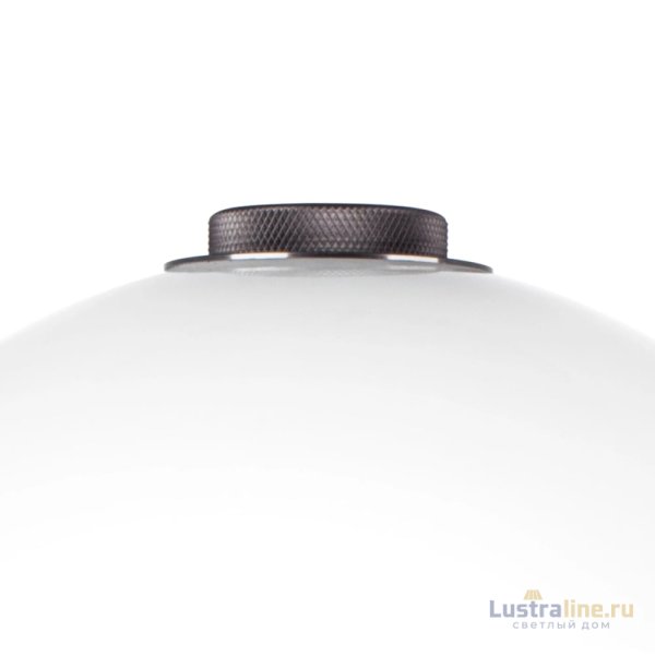 Настольная лампа Lightstar Colore 805916