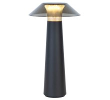 Настольная лампа с аккумулятором Elektrostandard Future TL70200 4690389192029 a062379