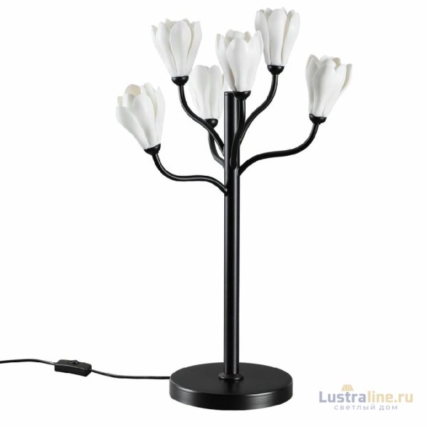 Настольная лампа Odeon Light Gardi Modern 5090/6T