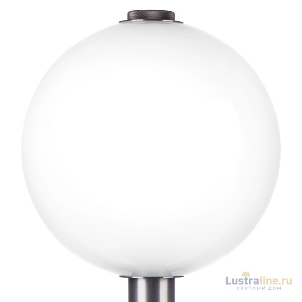 Настольная лампа Lightstar Colore 805916