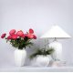 Настольная лампа Loft IT Blanca 10265T/S