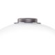 Настольная лампа Lightstar Colore 805906