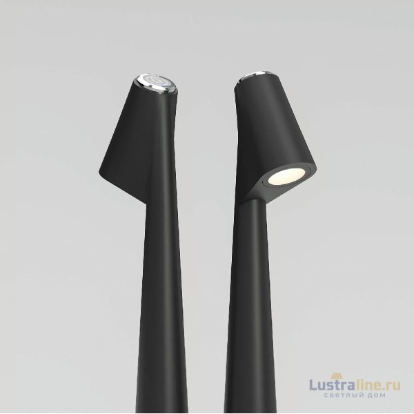Настольная лампа Elektrostandard Elite 4690389208508 TL70250 a068070 Настольная лампа Elektrostandard Elite 4690389208508 TL70250 a068070