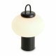 Настольная лампа Freya Take FR6175TL-L10B