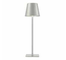 Настольная лампа F-Promo Pyari 4617-1T
