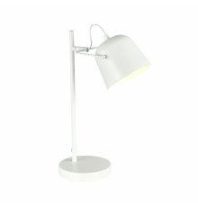 Настольная лампа Evoluce Blank SLE1805-504-01