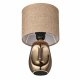 Настольная лампа Lumion Moderni Akivi 8150/1T