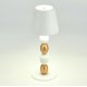 Настольная лампа ST Luce Ease SL1011.514.01