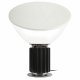 Настольная лампа Loft IT Taccia 10294/M Black