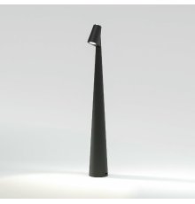 Настольная лампа Elektrostandard Elite 4690389208508 TL70250 a068070