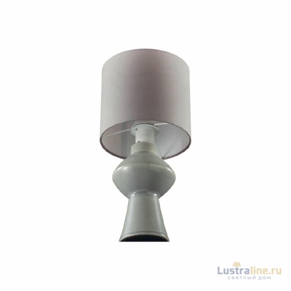 Настольная лампа Lumion Moderni Segi 8129/1T