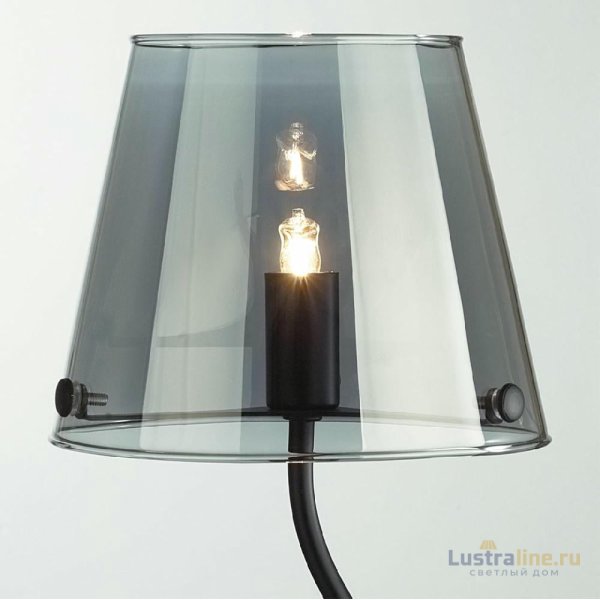 Настольная лампа Lumion Smoky 6570/1T