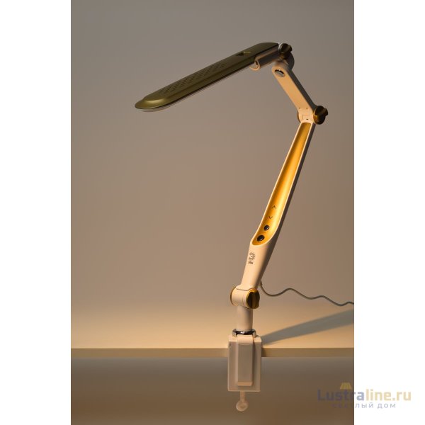 Настольная лампа Эра NLED-496-12W-G Б0052769