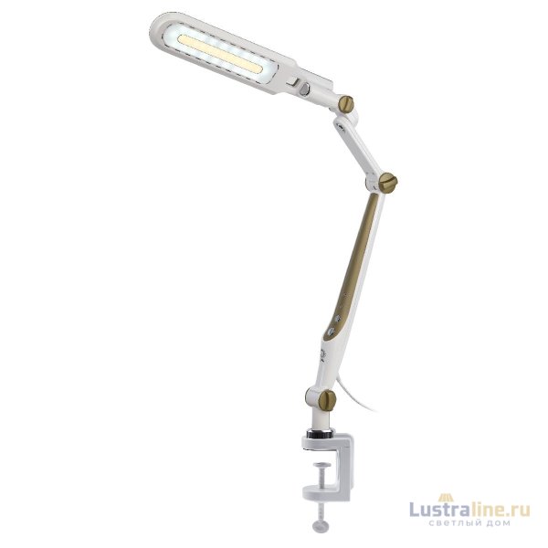 Настольная лампа Эра NLED-496-12W-G Б0052769