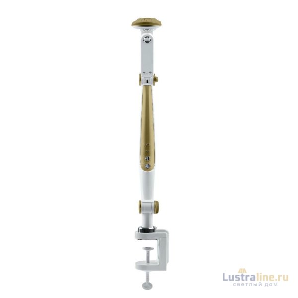 Настольная лампа Эра NLED-496-12W-G Б0052769